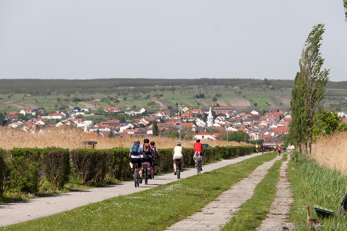 Mörbisch am See